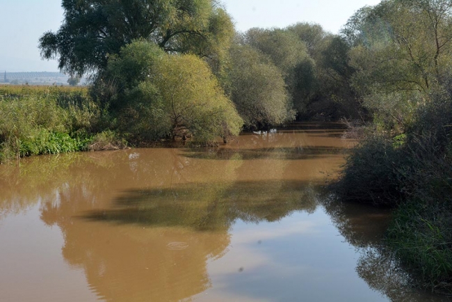 Gediz Nehri'ndeki toplu balık ölümleri ile ilgili inceleme başlatıldı