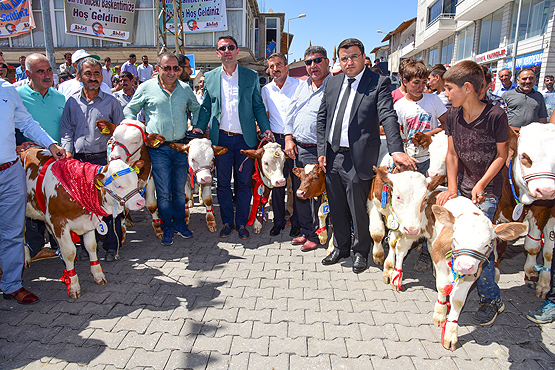 'Kültür Irkı Buzağı Yarışması'nın 26'ncısı düzenlendi