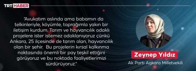 Milletvekili Yıldız, kendini Ankara keçilerine adadı