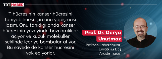 Bağışıklık sistemiyle gelen çare: Kanser tarihe mi karışıyor?