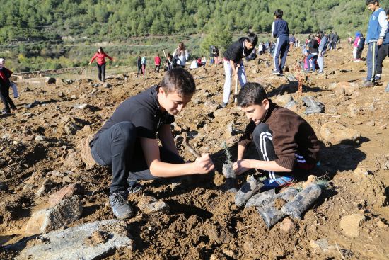 Hatay'da '15 Temmuz Demokrasi Şehitleri Hatıra Ormanı' oluşturuldu