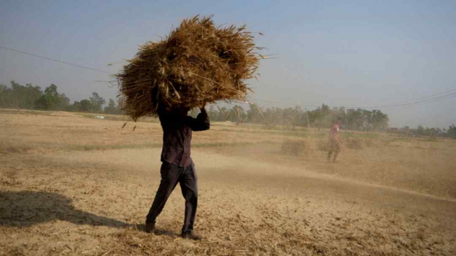 Fotoğraf: AP