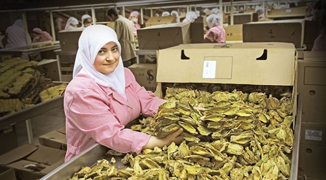 Ege İhracatçı Birlikleri'nden tarihi ihracat rekoru