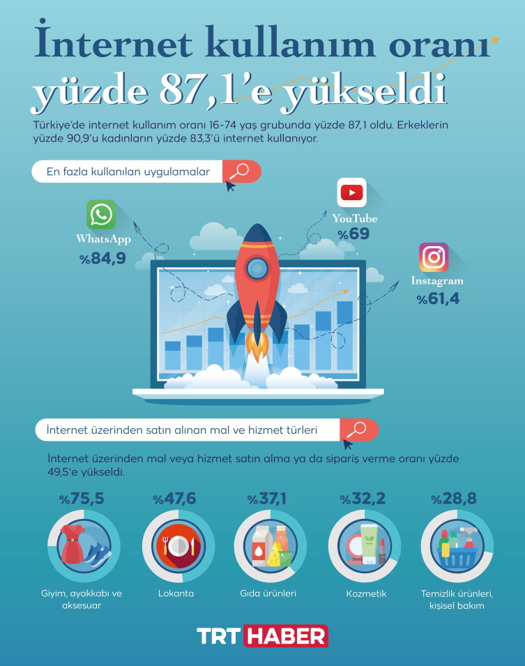 İnternete erişim imkanı olan hane oranı yüzde 95,5 oldu