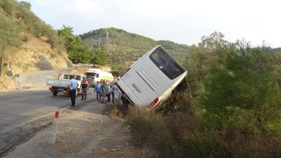 Zeytin ağacı büyük bir felaketi önledi