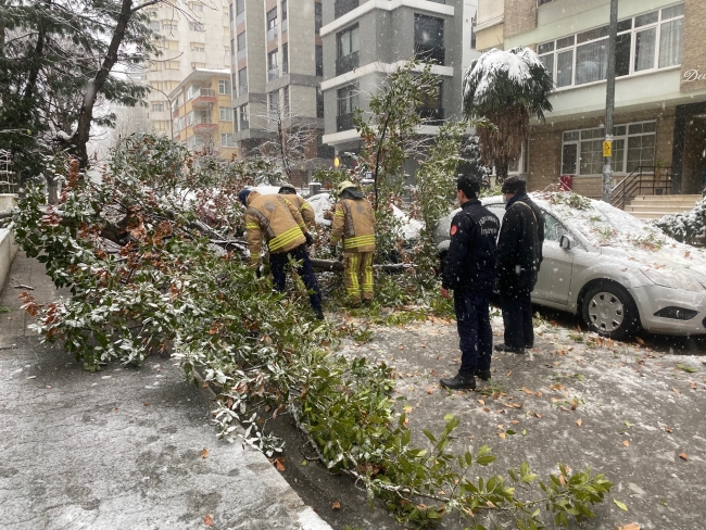 Kadıköy'de otomobillerin üzerine ağaç devrildi