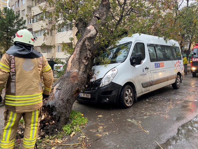 İstanbul'da servis aracının üzerine ağaç devrildi