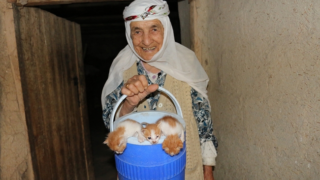 Anneleri ölen yavru kedilere 96 yaşındaki nine sahip çıktı