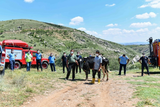 Kanyonda mahsur kalan ineği itfaiye ekipleri kurtardı