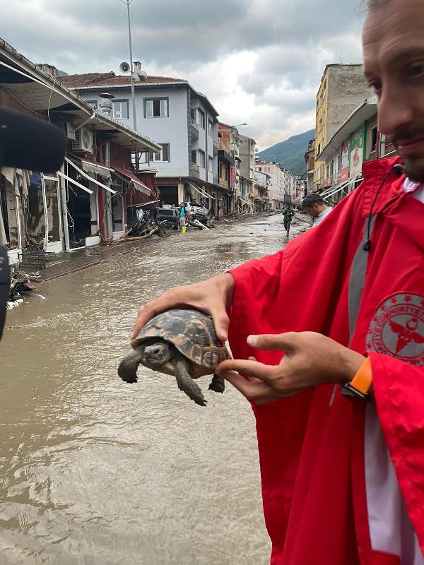 Selde hayvanlar da kurtarıldı