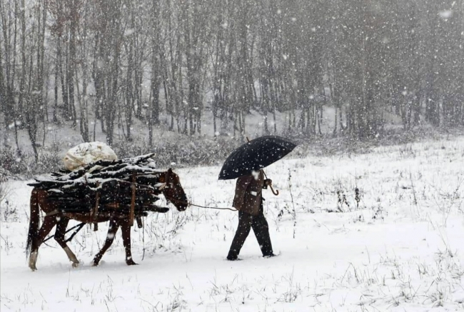 Fotoğraf: DHA