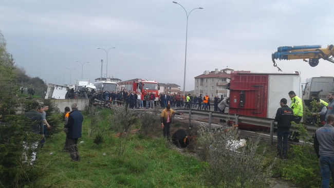 Büyükbaş hayvan yüklü tır devrildi, otoyol trafiğe kapandı