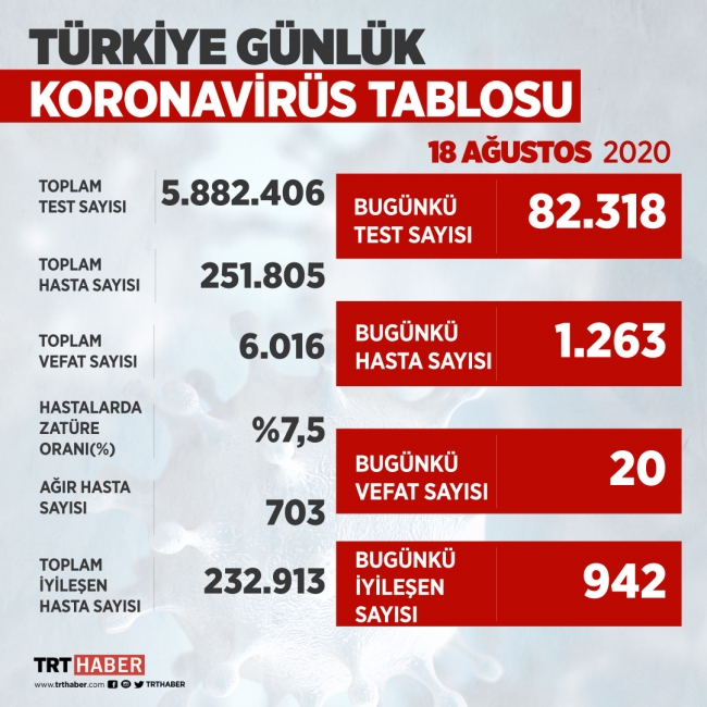 Türkiye'de COVID-19'u yenenlerin sayısı 232 bin 913'e yükseldi