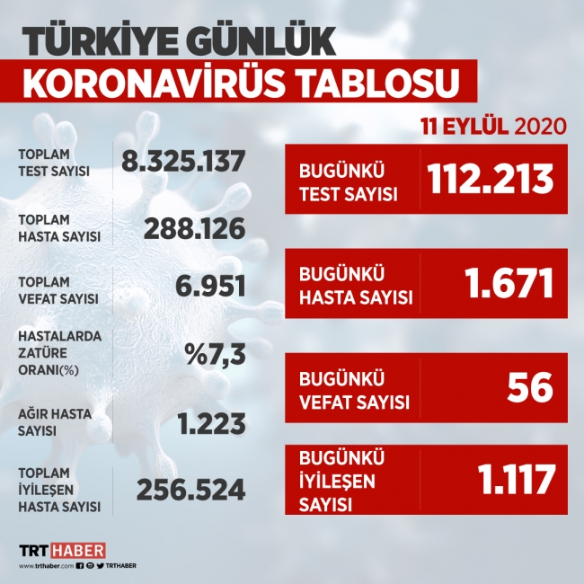 Türkiye'de iyileşenlerin sayısı 256 bin 524'e yükseldi