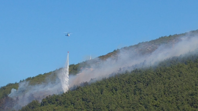 Manisa'da orman yangını