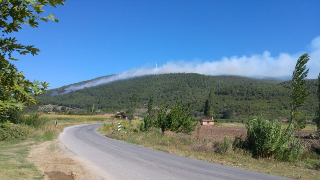 Manisa'da orman yangını