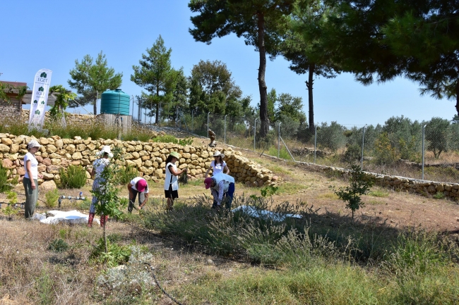 Muğla'da dar gelirli öğrencilerin eğitimi için trüf mantarı yetiştiriliyor