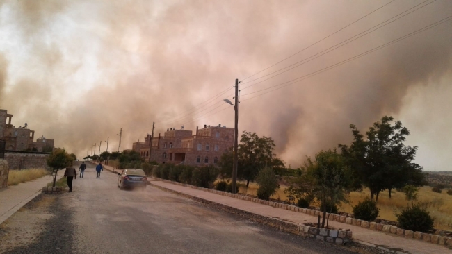 Mardin'de ormanlık alanda yangın