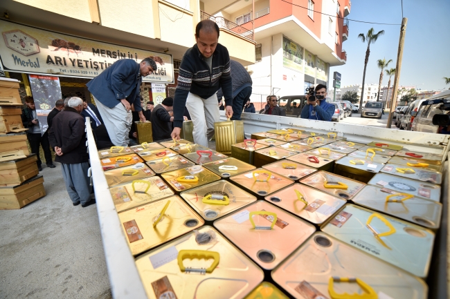 Türkiye tek yürek 'Zeytin Dalı'na tam destek