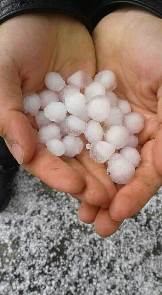 Mersin’de dolu tarım arazilerini vurdu