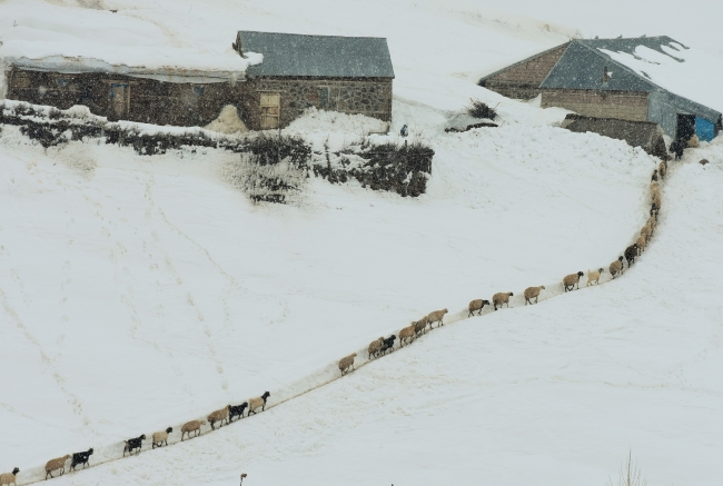 Kar ve tipi 97 yolu ulaşıma kapattı