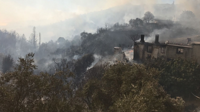 Muğla'da orman yangını kısmen kontrol altına alındı