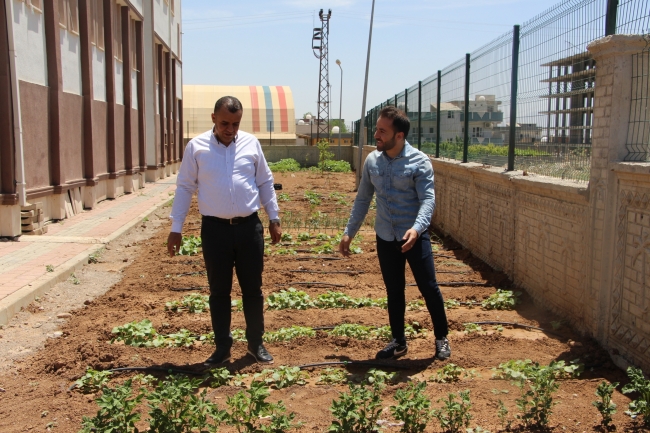 Okulun bahçesinde yetiştirilen sebze ve meyveler ihtiyaç sahiplerine dağıtılacak