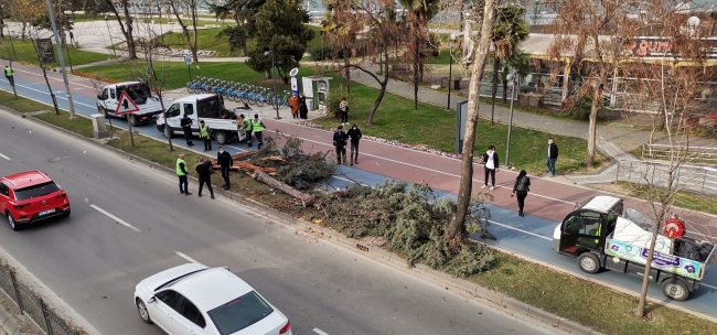 Ordu'da fırtına çatıları uçurdu