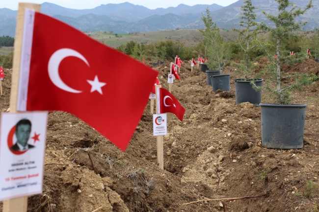 Tokat'ta "15 Temmuz şehitleri" anısına hatıra ormanı