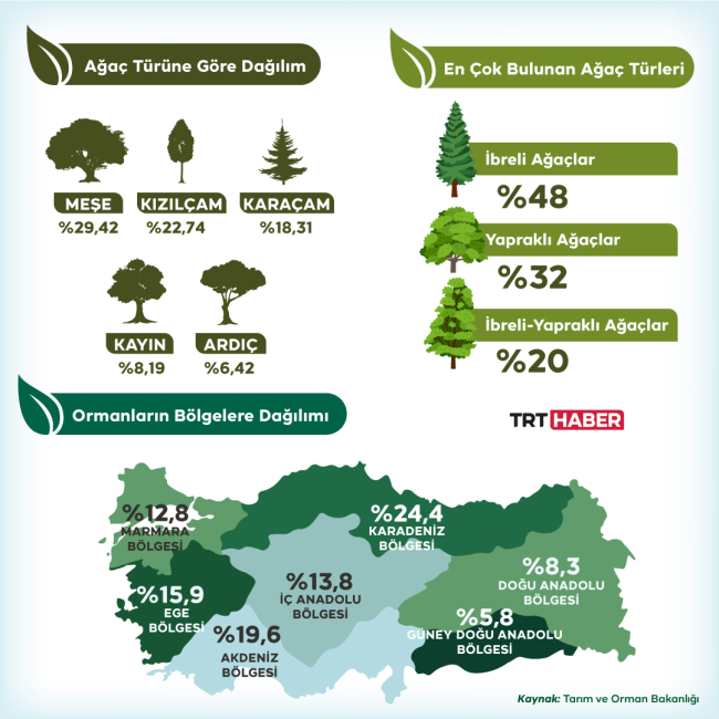 81 İlde Deprem Şehitleri İçin Hatıra Orman