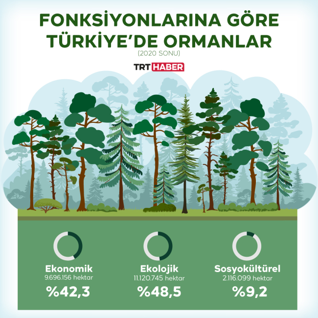 81 İlde Deprem Şehitleri İçin Hatıra Orman