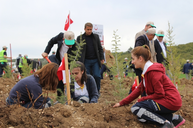 Tokat'ta "15 Temmuz şehitleri" anısına hatıra ormanı