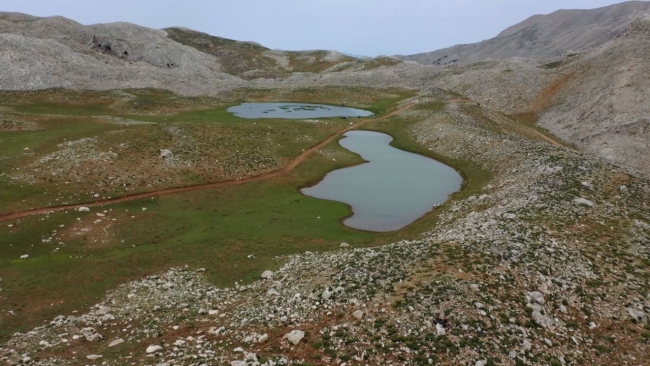 Fotoğraf: TRT Haber