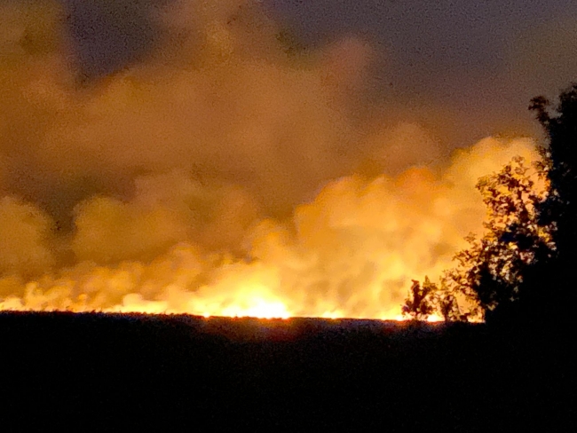 Samsun'da sazlıkta çıkan yangın ormana sıçradı