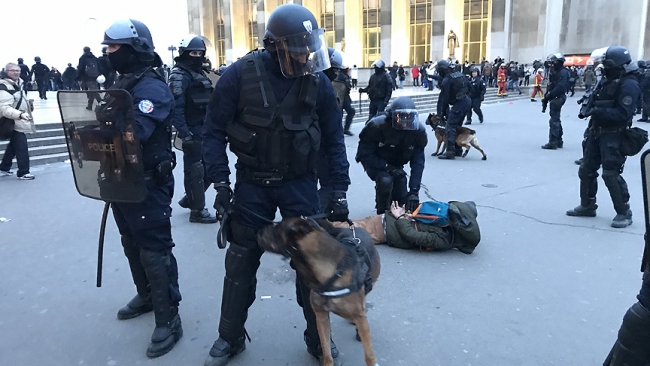 Fransa'da sarı yelekliler yeniden sokağa çıktı