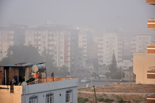 Kilis'te yoğun sis hayatı olumsuz etkiledi