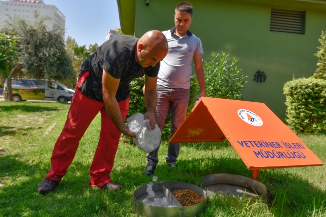 Sokak hayvanları buzlu suyla serinletiliyor