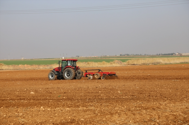 Türkiye, Fırat Kalkanı bölgesini tarımsal destekle kalkındırıyor