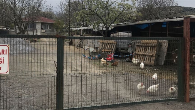 Keneden ölen kişinin annesi de hayatını kaybetti