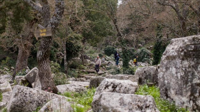 Termessos Milli Parkı ziyaretçilerini bekliyor