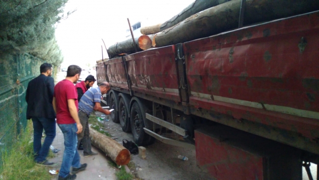 Alkol alırken üzerine 200 kiloluk tomruk düştü