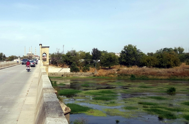 Tunca Nehri yeşile büründü