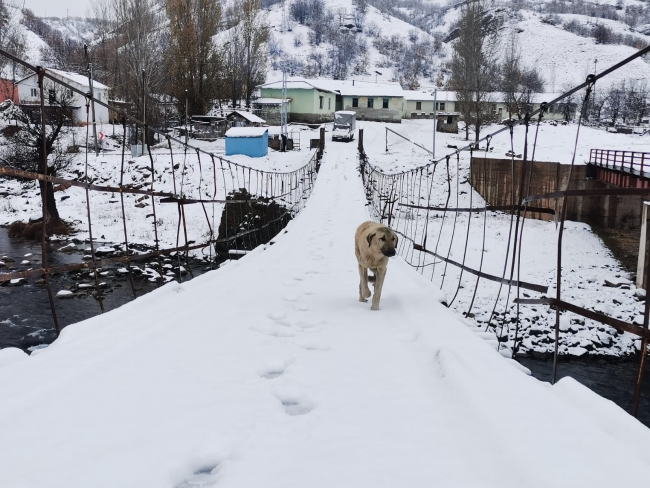 Tunceli'de kar köy yollarını kapattı