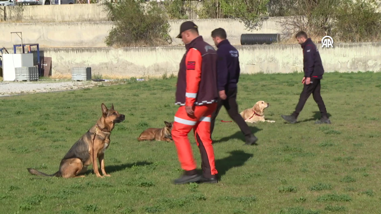 Afetlerin hassas burunları can kurtarmak için eğitim alıyor