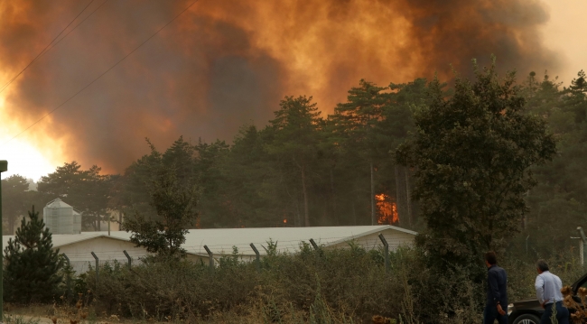 Bolu'daki orman yangınında son durum