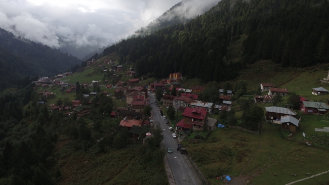 Karadeniz yaylaları kaçak yapılardan temizleniyor