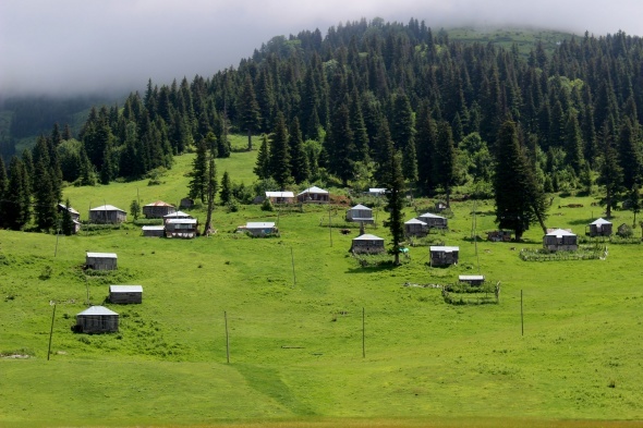 Karadeniz yaylaları vatandaşlara huzur veriyor