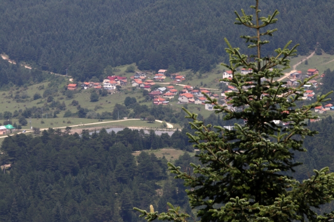 Bolu yayla turizmiyle ön plana çıkmak istiyor