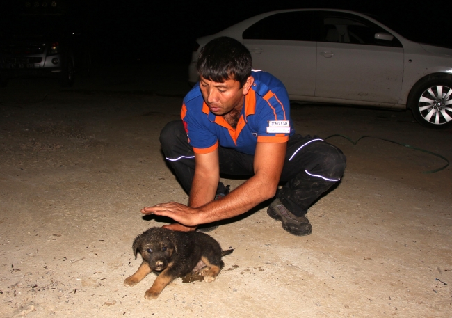 Sondaj kuyusuna düşen yavru köpek kurtarıldı