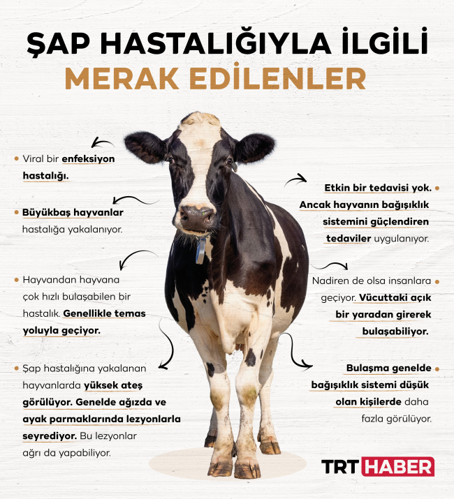 Grafik: TRT Haber